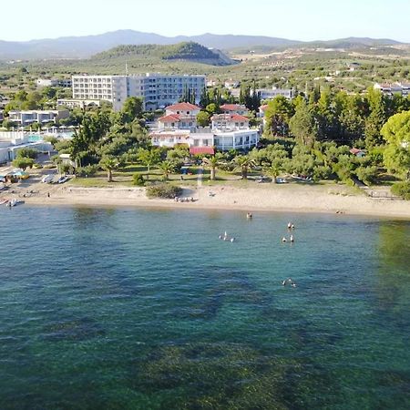 Afroditi Beach Gerakini Exterior foto