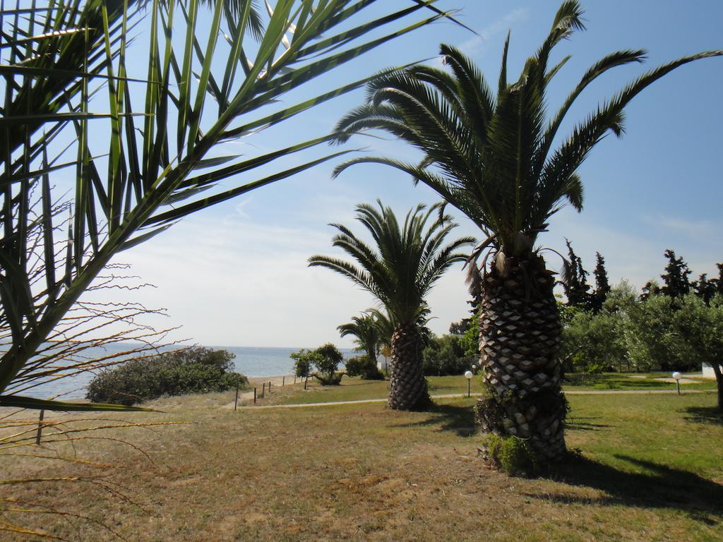 Afroditi Beach Gerakini Exterior foto